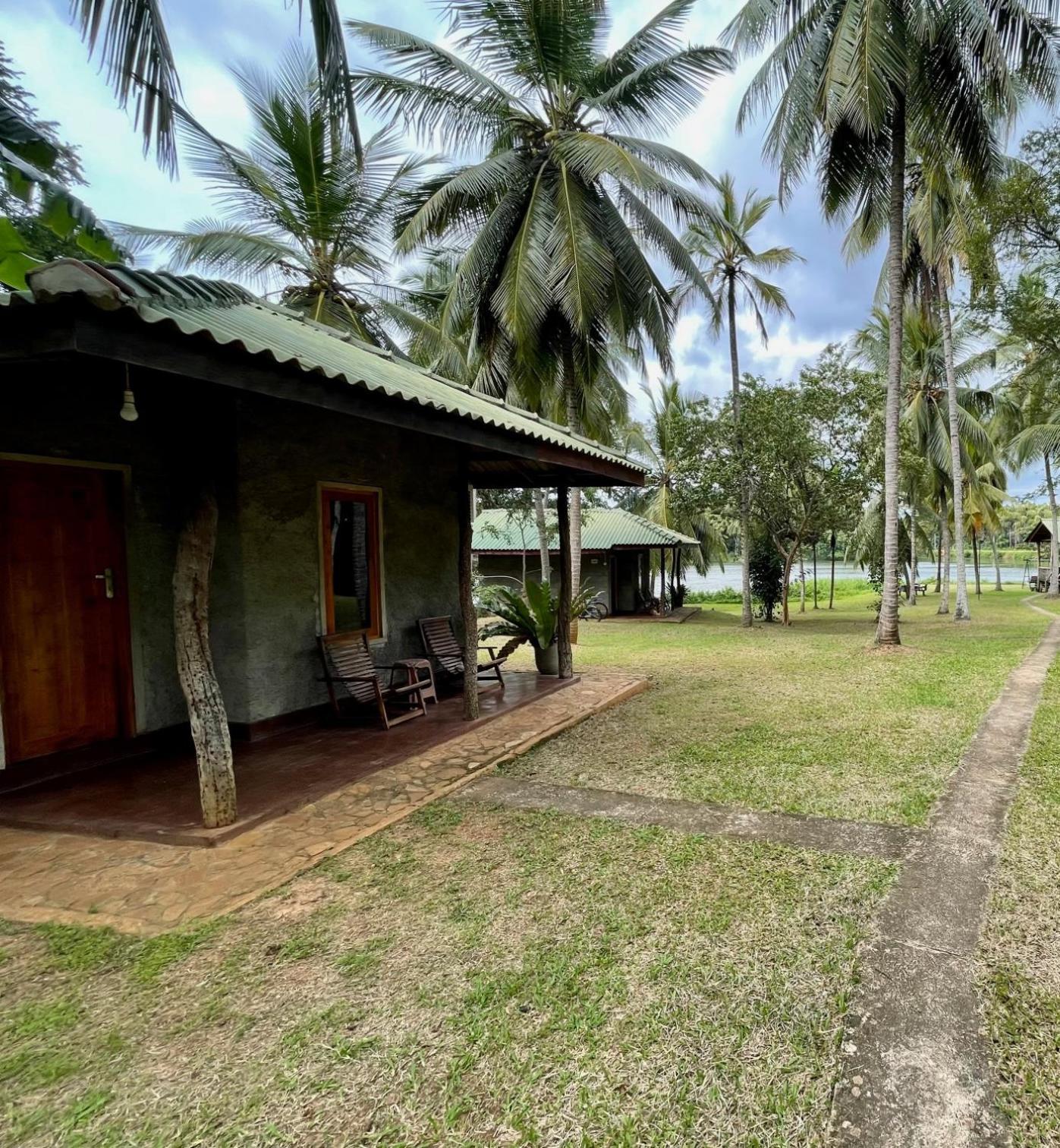 Udawalawa Safari Resort Udawalawe Oda fotoğraf