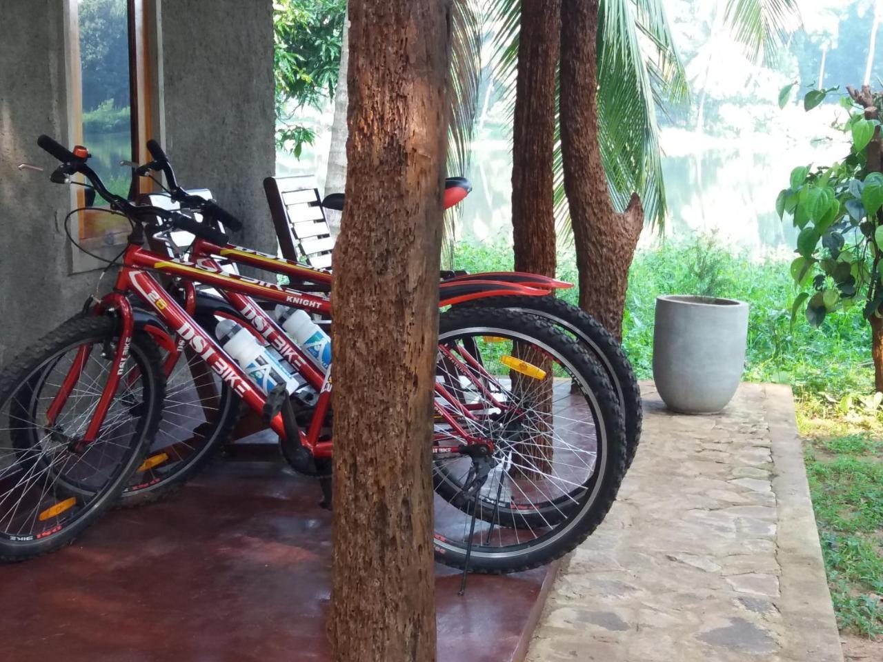 Udawalawa Safari Resort Udawalawe Dış mekan fotoğraf