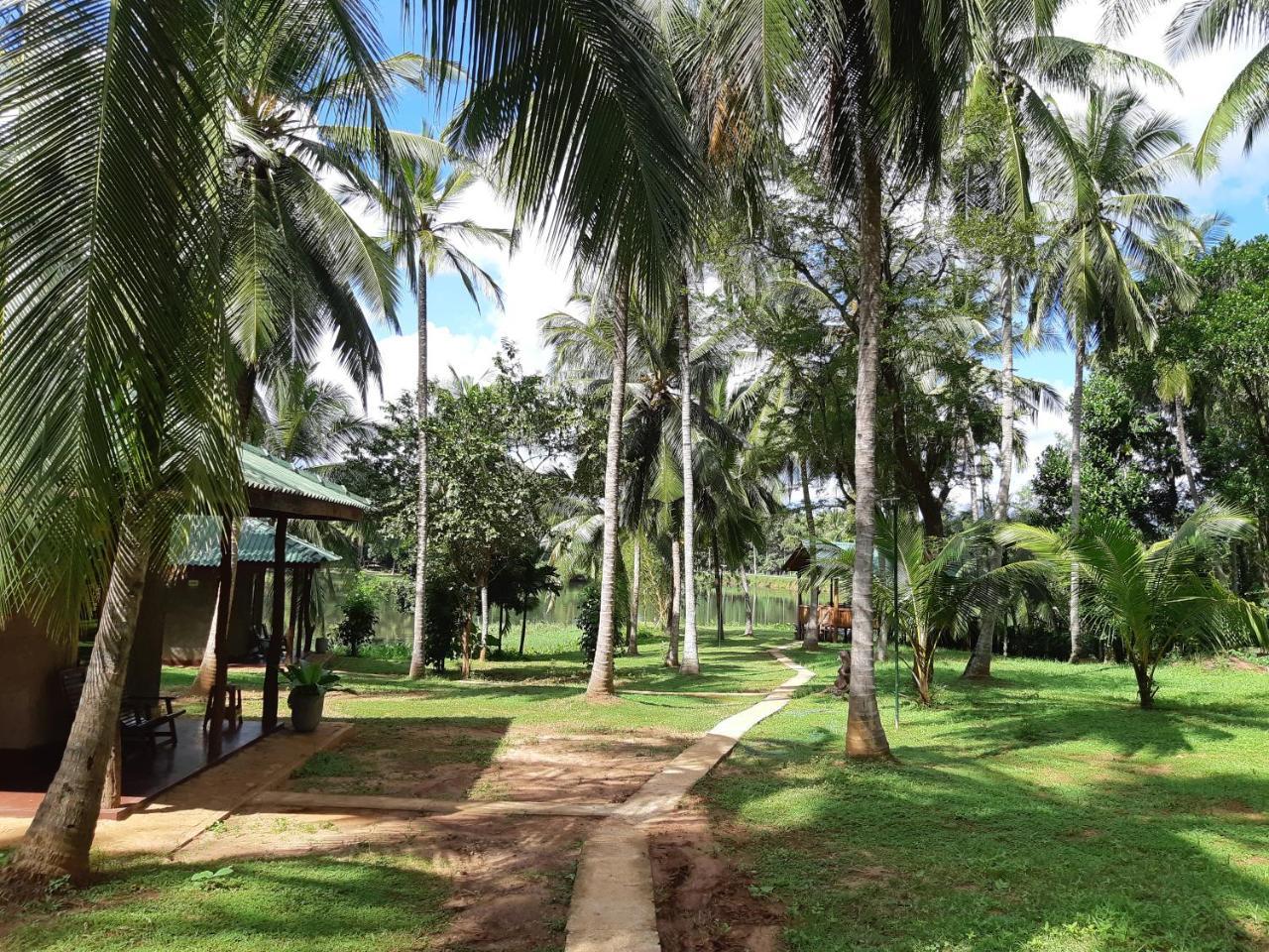 Udawalawa Safari Resort Udawalawe Dış mekan fotoğraf